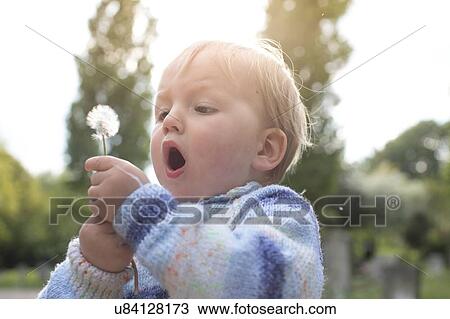 Boy blowing dandelion View Large Photo Image Stock Image - Boy blowing dandelion. Fotosearch