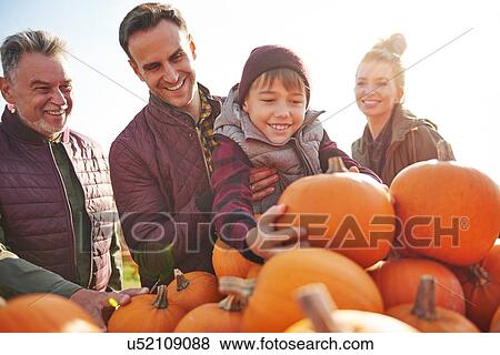 Stock Photo - Boy with parents and grandfather selecting pumpkins in pumpkin patch field. Fotosearch
