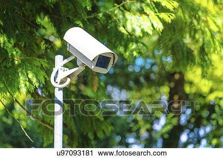 CCTV security camera in green park. View Large Photo Image Stock Image - CCTV security camera in green park.. Fotosearch