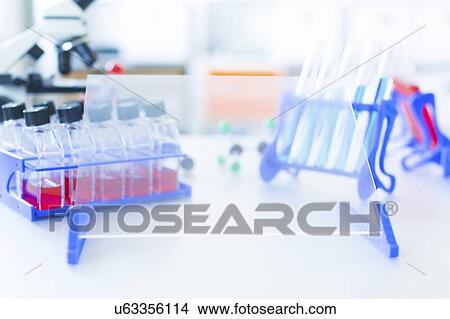 Cell cultures. View Large Photo Image Picture - Cell cultures.. Fotosearch