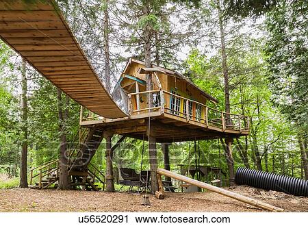 Children's playground and tree house, in residential garden, Quebec, Canada View Large Photo Image Stock Image - Children's playground and tree house, in residential garden, Quebec, Canada. Fotosearch