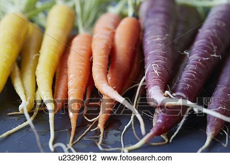 Stock Image - Close up of colorful carrots. Fotosearch