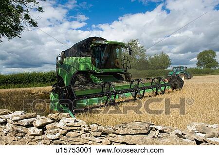 Stock Image - Combine harvester harvesting rural field. Fotosearch