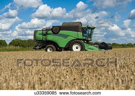 Combine harvester harvesting rural field View Large Photo Image Stock Photography - Combine harvester harvesting rural field. Fotosearch