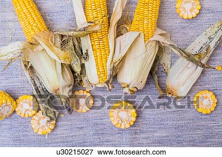 Corn on the cob with slices of corn, overhead view View Large Photo Image Stock Photo - Corn on the cob with slices of corn, overhead view. Fotosearch