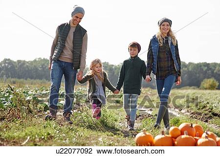 Couple holding hands with son and daughter in pumpkin patch field View Large Photo Image Stock Image - Couple holding hands with son and daughter in pumpkin patch field. Fotosearch