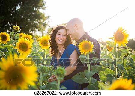 Stock Image - Couple in field of sunflowers, hugging. Fotosearch