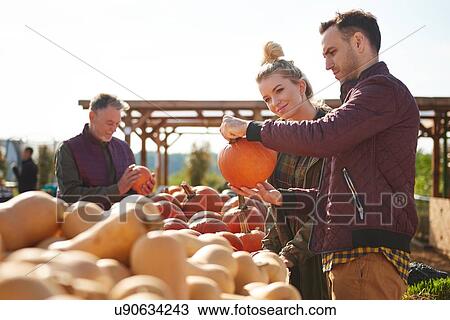 Stock Image - Couple selecting pumpkins in pumpkin patch field. Fotosearch