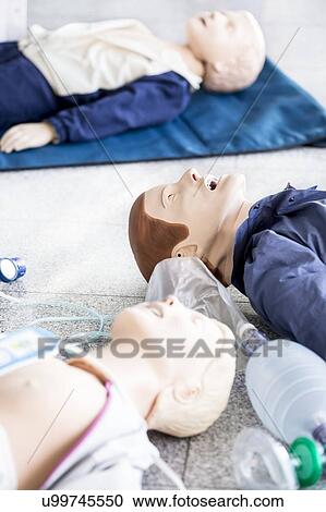 CPR training dummies. View Large Photo Image Stock Image - CPR training dummies.. Fotosearch