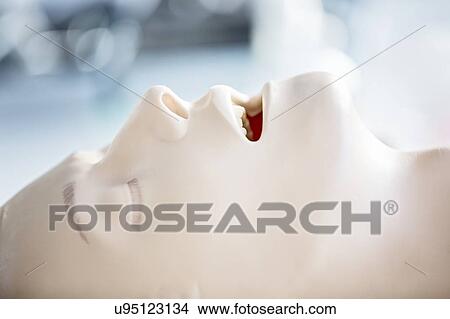 Picture - CPR training dummy.. Fotosearch