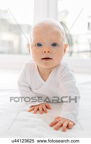 Stock Photography - Crawling baby girl looking at camera. Fotosearch