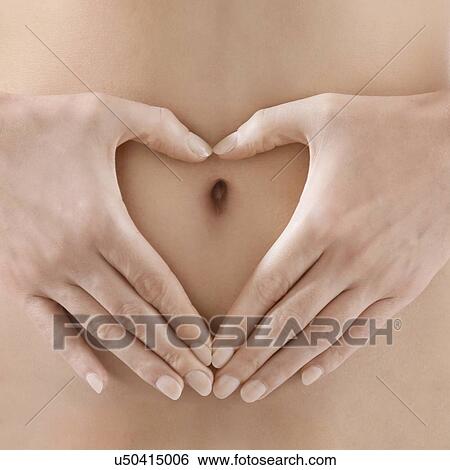 Digestive health, conceptual image. View Large Photo Image Stock Photograph - Digestive health, conceptual image.. Fotosearch
