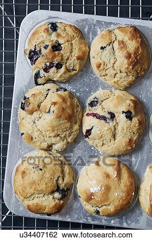 Directly above view of blueberry muffins View Large Photo Image Stock Image - Directly above view of blueberry muffins. Fotosearch