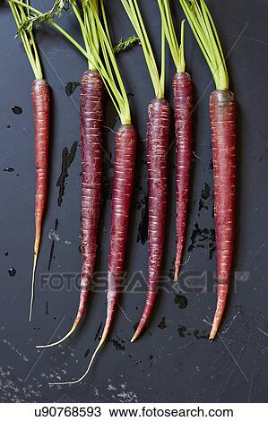 Directly above view of carrots View Large Photo Image Stock Image - Directly above view of carrots. Fotosearch