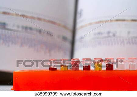 Stock Photo - DNA (deoxyribonucleic acid) research, conceptual image.. Fotosearch