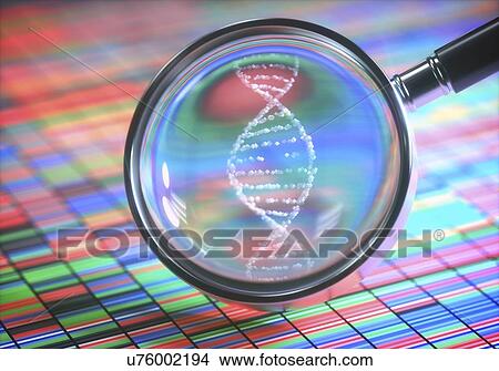 Picture - DNA (deoxyribonucleic acid) sequencing and magnifying glass, illustration.. Fotosearch