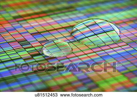 Stock Image - DNA (deoxyribonucleic acid) sequencing with water droplets, illustration.. Fotosearch