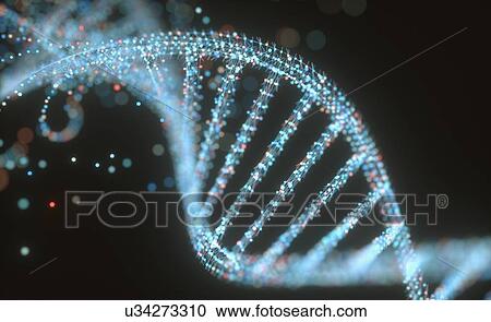 DNA (deoxyribonucleic acid) structure, illustration. View Large Photo Image Stock Image - DNA (deoxyribonucleic acid) structure, illustration.. Fotosearch