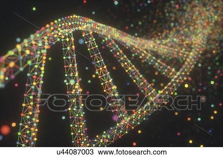 DNA (deoxyribonucleic acid) structure, illustration. View Large Photo Image Stock Image - DNA (deoxyribonucleic acid) structure, illustration.. Fotosearch
