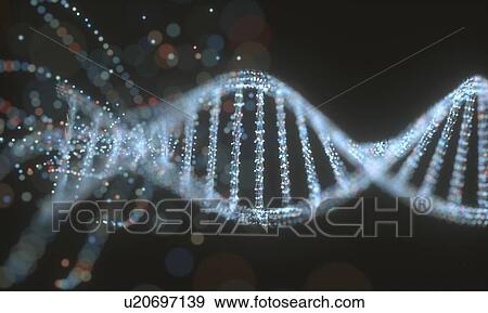 DNA (deoxyribonucleic acid) structure, illustration. View Large Photo Image Stock Photo - DNA (deoxyribonucleic acid) structure, illustration.. Fotosearch