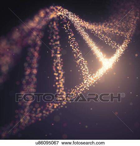 Stock Photo - DNA (deoxyribonucleic acid) structure, illustration.. Fotosearch