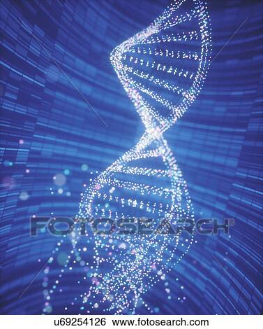 Stock Photograph - DNA (deoxyribonucleic acid) structure, illustration.. Fotosearch