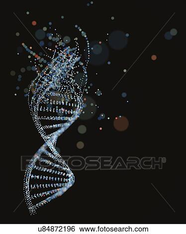 DNA (deoxyribonucleic acid) structure, illustration. View Large Photo Image Stock Photograph - DNA (deoxyribonucleic acid) structure, illustration.. Fotosearch