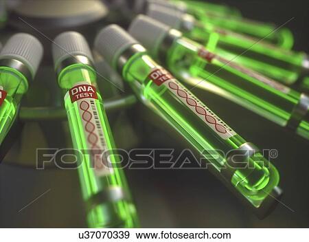Stock Photo - DNA (deoxyribonucleic acid) test with vials of green liquid, illustration.. Fotosearch