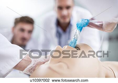 Stock Image - Doctor practising tracheal intubation on a training dummy.. Fotosearch