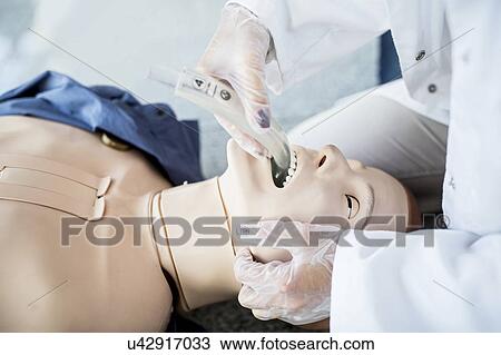 Stock Image - Doctor practising tracheal intubation on a training dummy.. Fotosearch