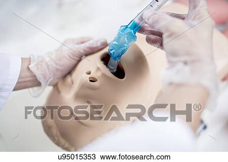 Stock Image - Doctor practising tracheal intubation on a training dummy.. Fotosearch