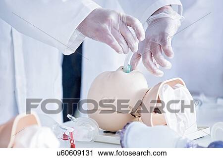 Doctors practising tracheal intubation on an infant training dummy. View Large Photo Image Stock Image - Doctors practising tracheal intubation on an infant training dummy.. Fotosearch