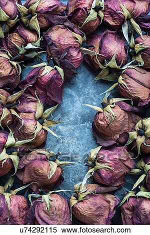 Dried rose heads arrangement View Large Photo Image Stock Photography - Dried rose heads arrangement. Fotosearch