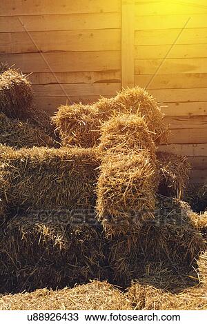 Stock Image - Dry baled hay.. Fotosearch