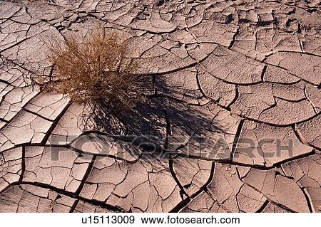 Stock Photo - Dry cracked mud in Valley of the Moon, Salar de Atacama, Atacama Desert, Chile. Fotosearch