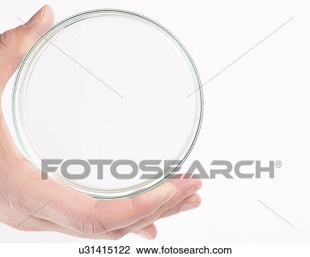 Empty petri dish held in a hand. View Large Photo Image Stock Image - Empty petri dish held in a hand.. Fotosearch