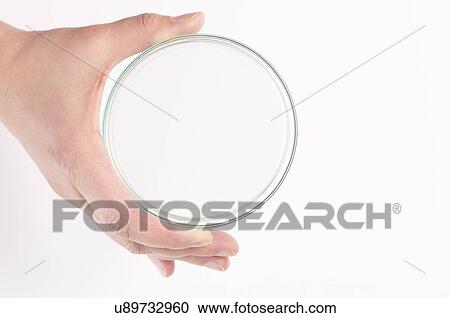 Empty petri dish held in a hand. View Large Photo Image Stock Image - Empty petri dish held in a hand.. Fotosearch