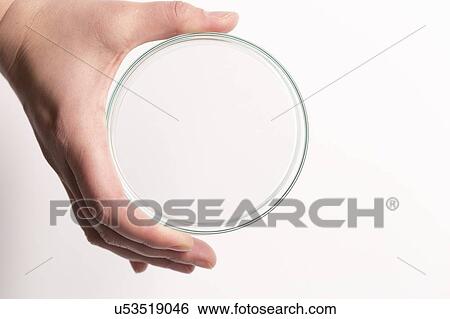 Empty petri dish held in a hand. View Large Photo Image Stock Photograph - Empty petri dish held in a hand.. Fotosearch