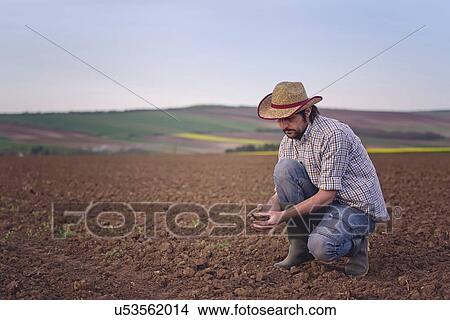 Farmer checking soil quality. View Large Photo Image Picture - Farmer checking soil quality.. Fotosearch