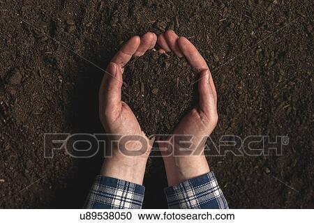 Stock Image - Farmer holding dirt in hands.. Fotosearch