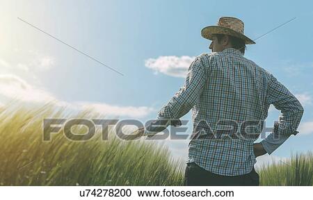 Stock Image - Farmer looking at the sun on the horizon.. Fotosearch