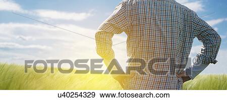 Farmer looking at the sun on the horizon. View Large Photo Image Stock Photo - Farmer looking at the sun on the horizon.. Fotosearch