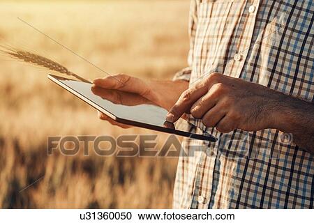 Farmer using digital tablet. View Large Photo Image Stock Image - Farmer using digital tablet.. Fotosearch