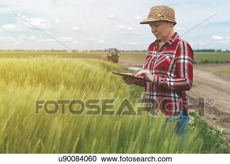 Farmer using digital tablet. View Large Photo Image Stock Image - Farmer using digital tablet.. Fotosearch