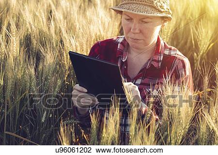 Stock Image - Farmer using digital tablet.. Fotosearch