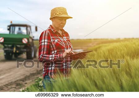 Stock Photo - Farmer using digital tablet.. Fotosearch