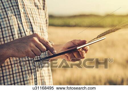 Stock Photography - Farmer using digital tablet.. Fotosearch