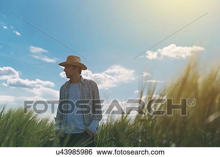 Stock Photograph - Farmer walking through a green wheat field.. Fotosearch