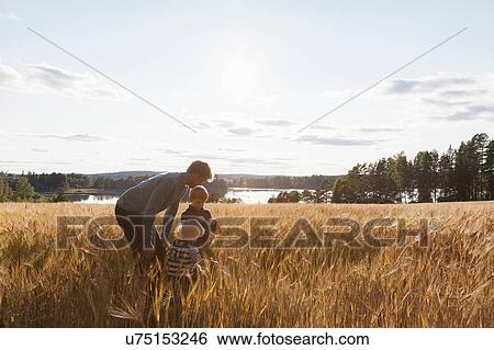 Father and sons in wheat field, Lohja, Finland View Large Photo Image Stock Photograph - Father and sons in wheat field, Lohja, Finland. Fotosearch