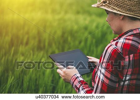 Picture - Female farmer using tablet computer in rye field.. Fotosearch
